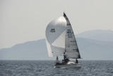 farr e nuff gbr7029 ss18 sat gjmc 4052 w